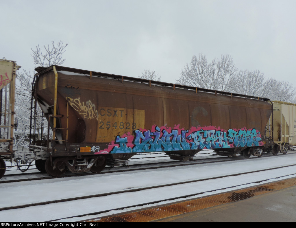 CSX 254828